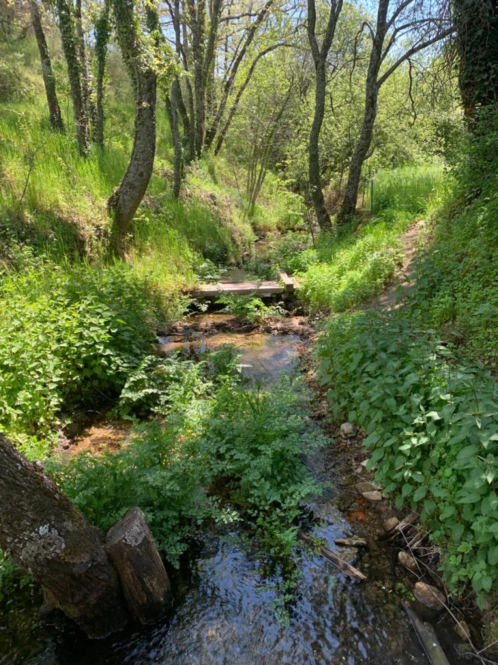  for sale country house Miraflores De La Sierra Cuenca Alta Del Manzanares 3
