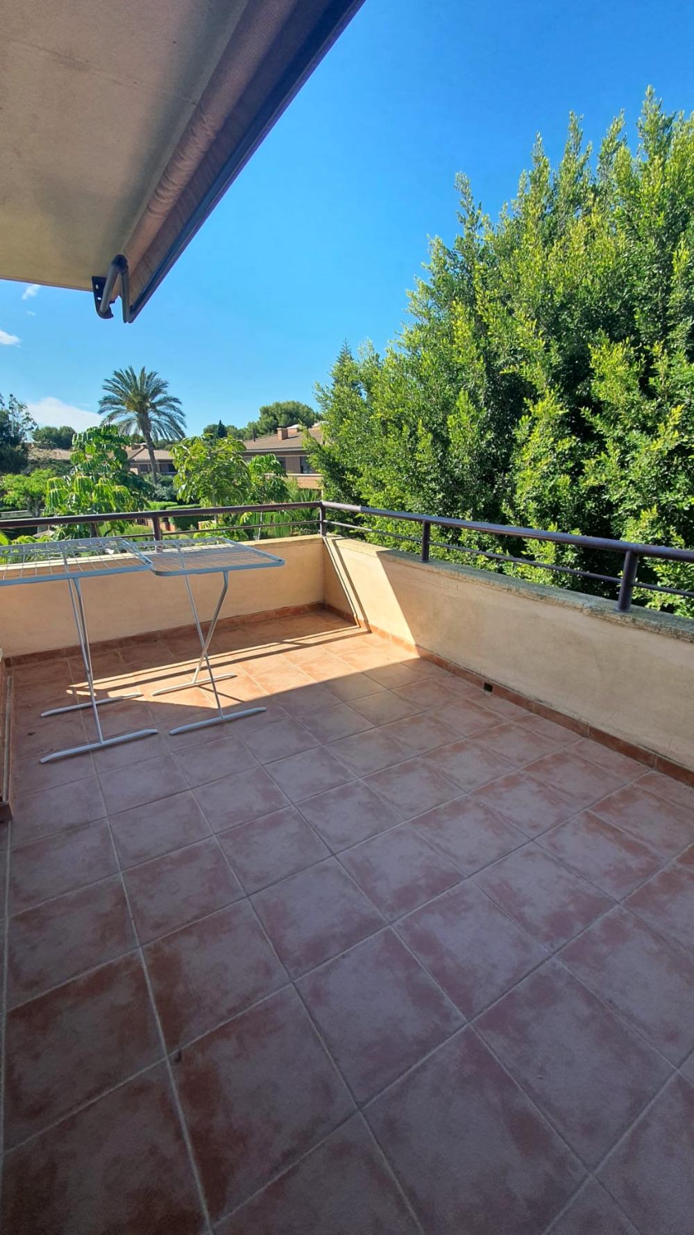  for sale villa L'almaixada Alacantí 13