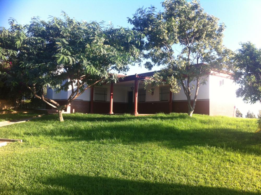  for sale villa Beas Condado (El) 9