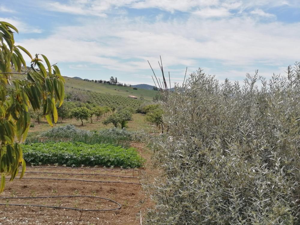  for sale house Bermejo-Caracuel Valle Del Guadalhorce 46