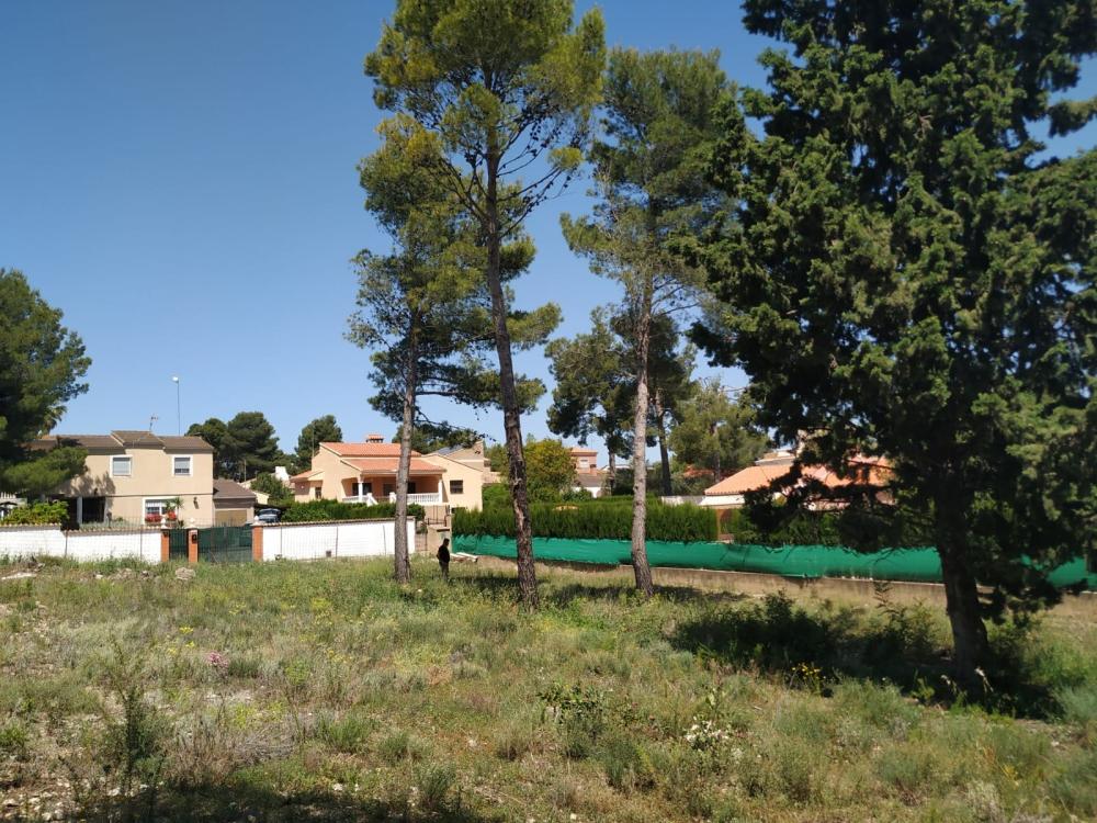  for sale plot Altury Ribera Alta 5