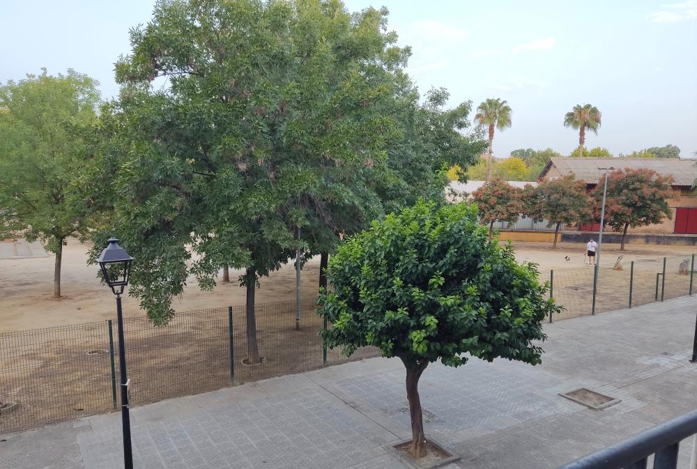  for sale apartment Camas Metropolitana De Sevilla 7