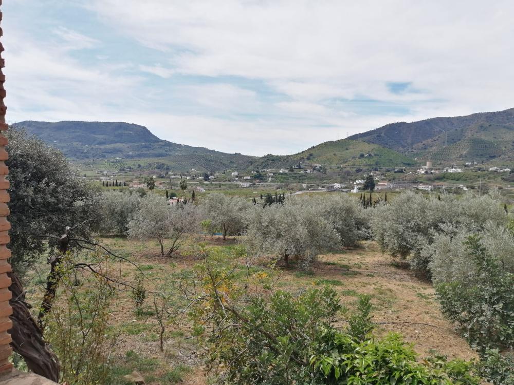  for sale house Bermejo-Caracuel Valle Del Guadalhorce 43