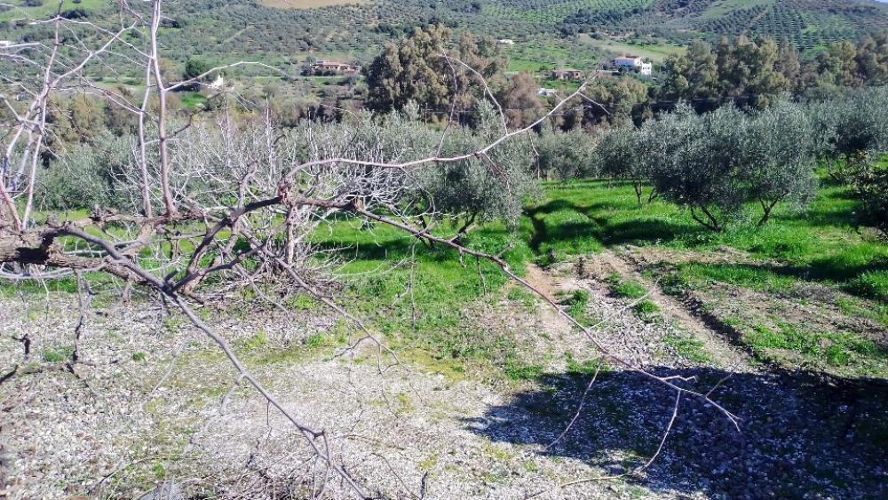  for sale villa Coín Valle Del Guadalhorce 18