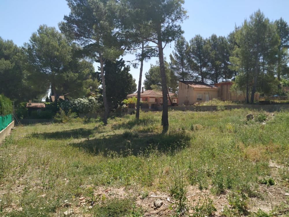  for sale plot Altury Ribera Alta 2