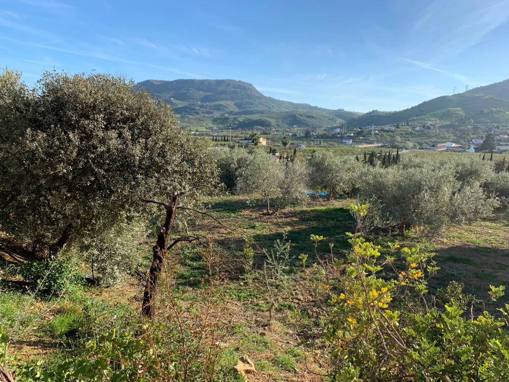 for sale house Bermejo-Caracuel Valle Del Guadalhorce 27