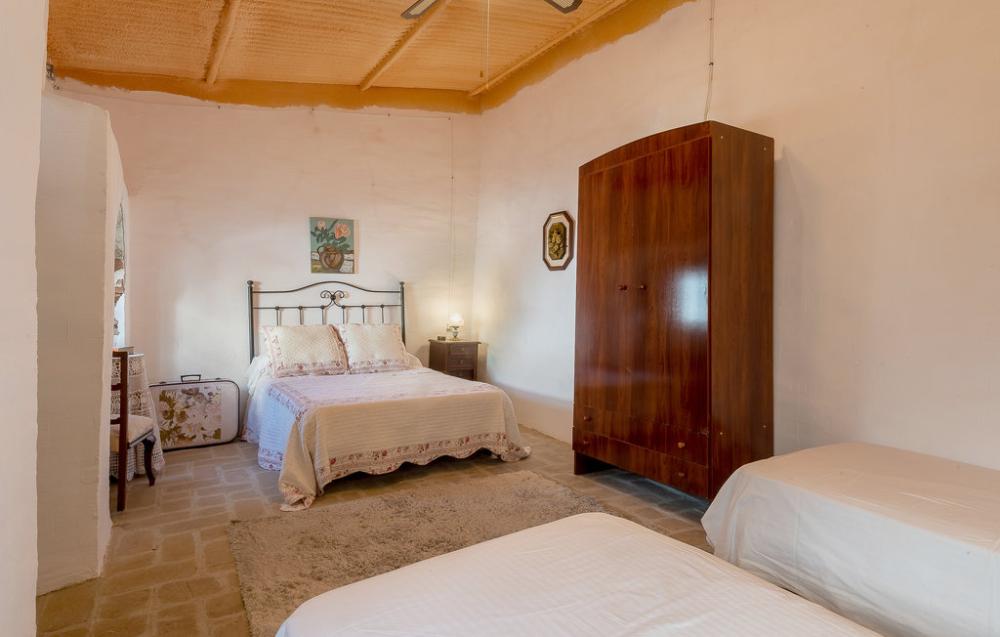  for sale house Las Pinedas Valle Medio Del Guadalquivir 15