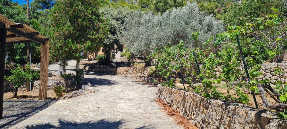  for sale villa Bunyola Tramuntana 3