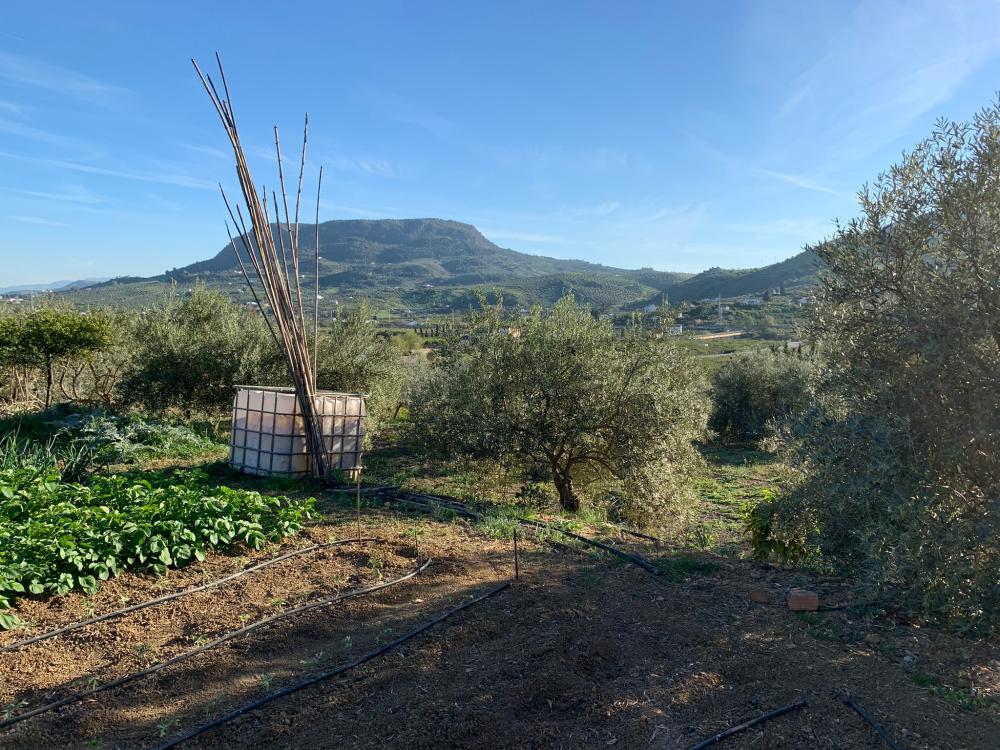  for sale house Bermejo-Caracuel Valle Del Guadalhorce 32