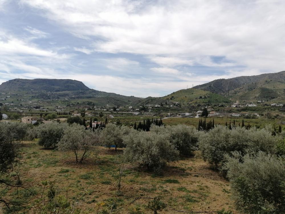  for sale house Bermejo-Caracuel Valle Del Guadalhorce 40