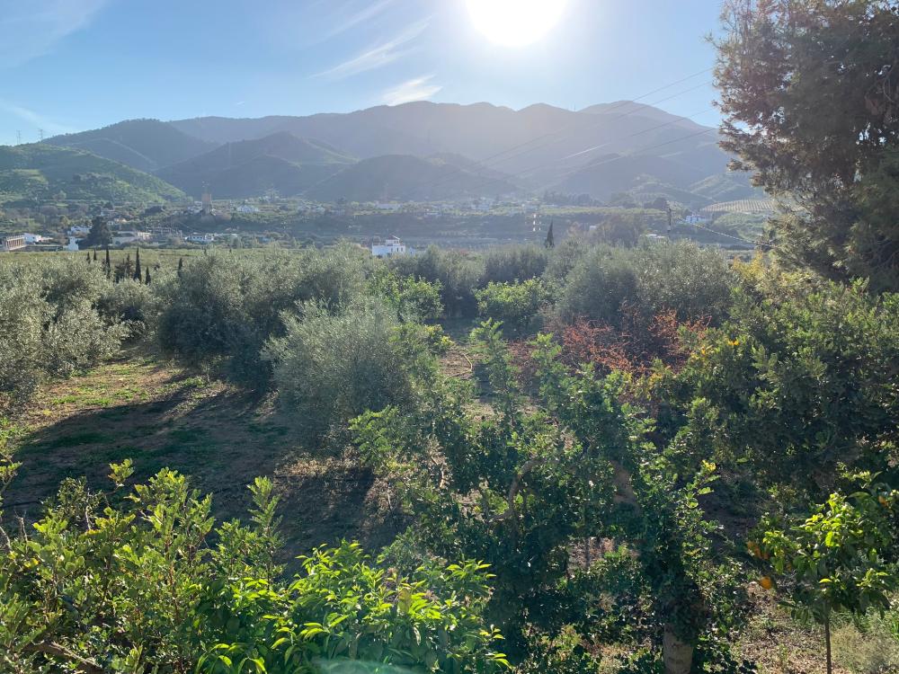  for sale house Bermejo-Caracuel Valle Del Guadalhorce 28