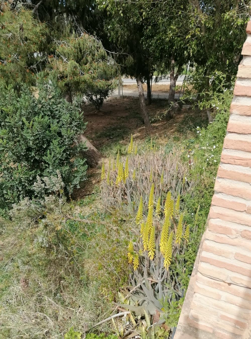  for sale house Bermejo-Caracuel Valle Del Guadalhorce 41