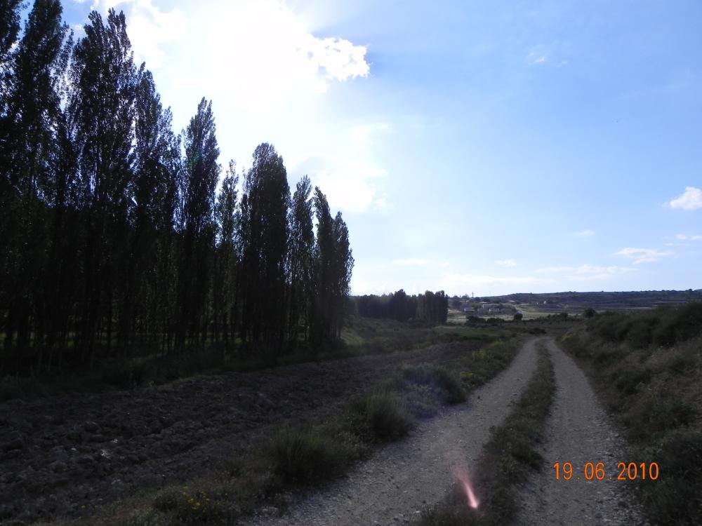  for sale house Casicas De San Juan Noroeste 7
