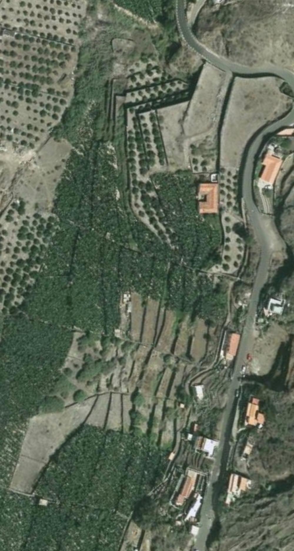  for sale plot Hermigua Gomera (La) 12
