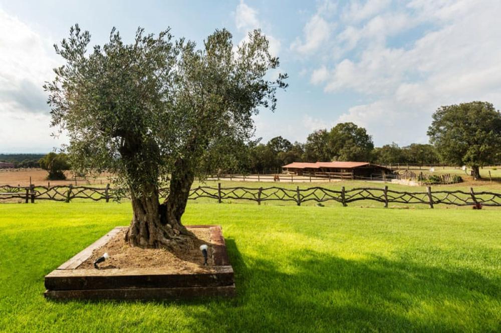  for sale house Cassà De La Selva Gironès 3