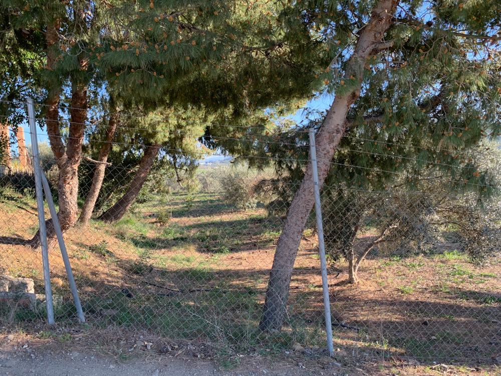  for sale house Bermejo-Caracuel Valle Del Guadalhorce 24