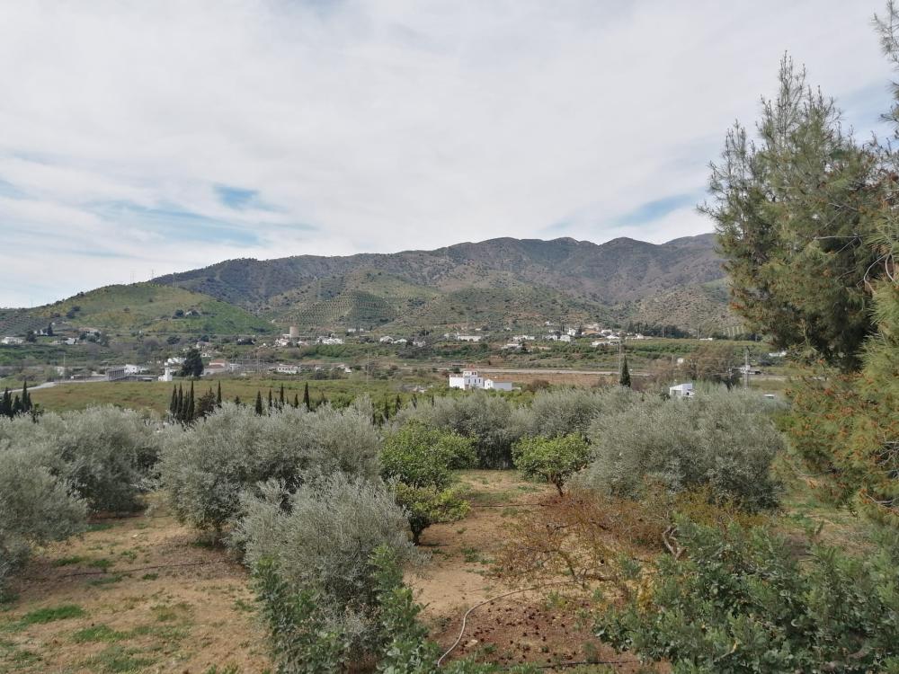  for sale house Bermejo-Caracuel Valle Del Guadalhorce 44