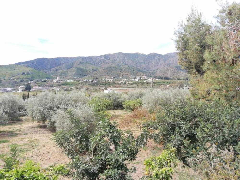  for sale house Bermejo-Caracuel Valle Del Guadalhorce 45