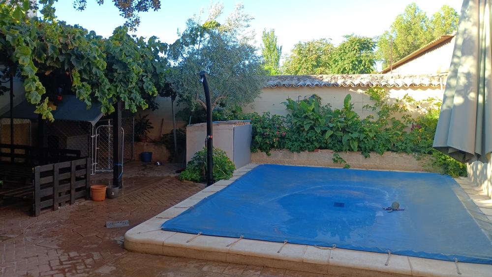  for sale house Las Labores Mancha (La) 29