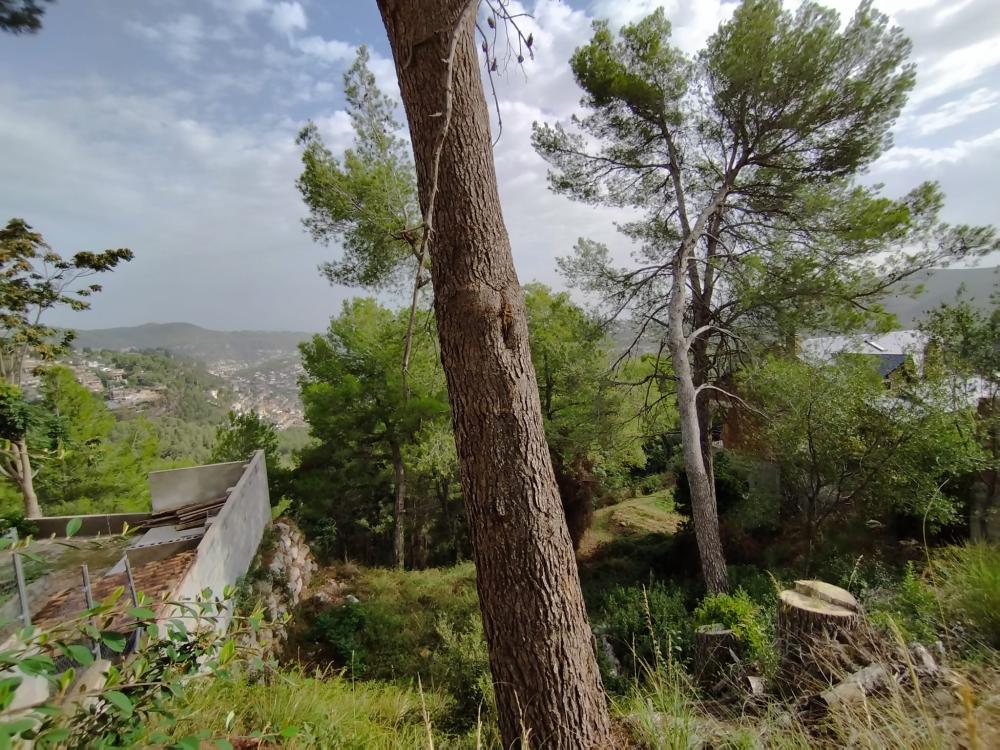  for sale plot Mas De Les Fonts Baix Llobregat 4