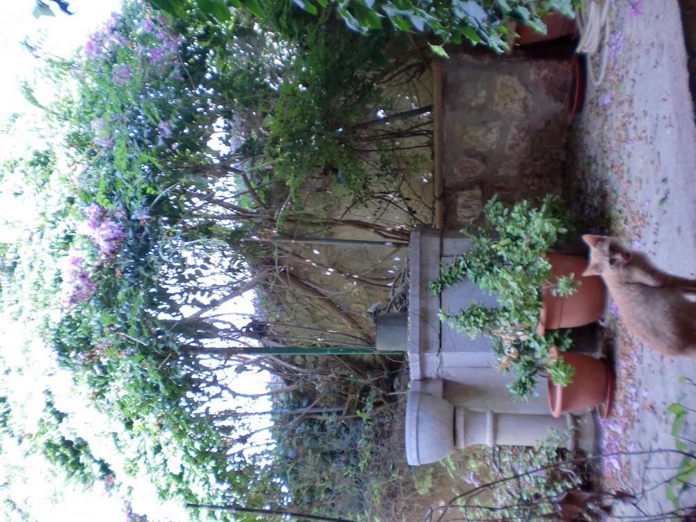  for sale house Lloseta Raiguer 21