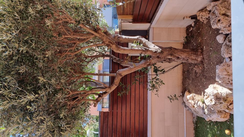  for sale house Arenys De Mar Maresme 15