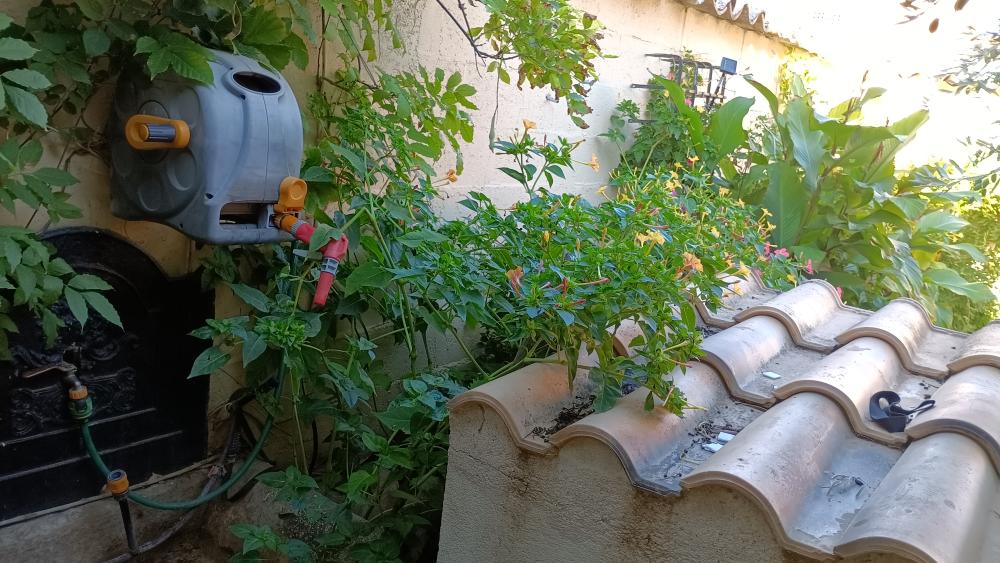  for sale house Las Labores Mancha (La) 6