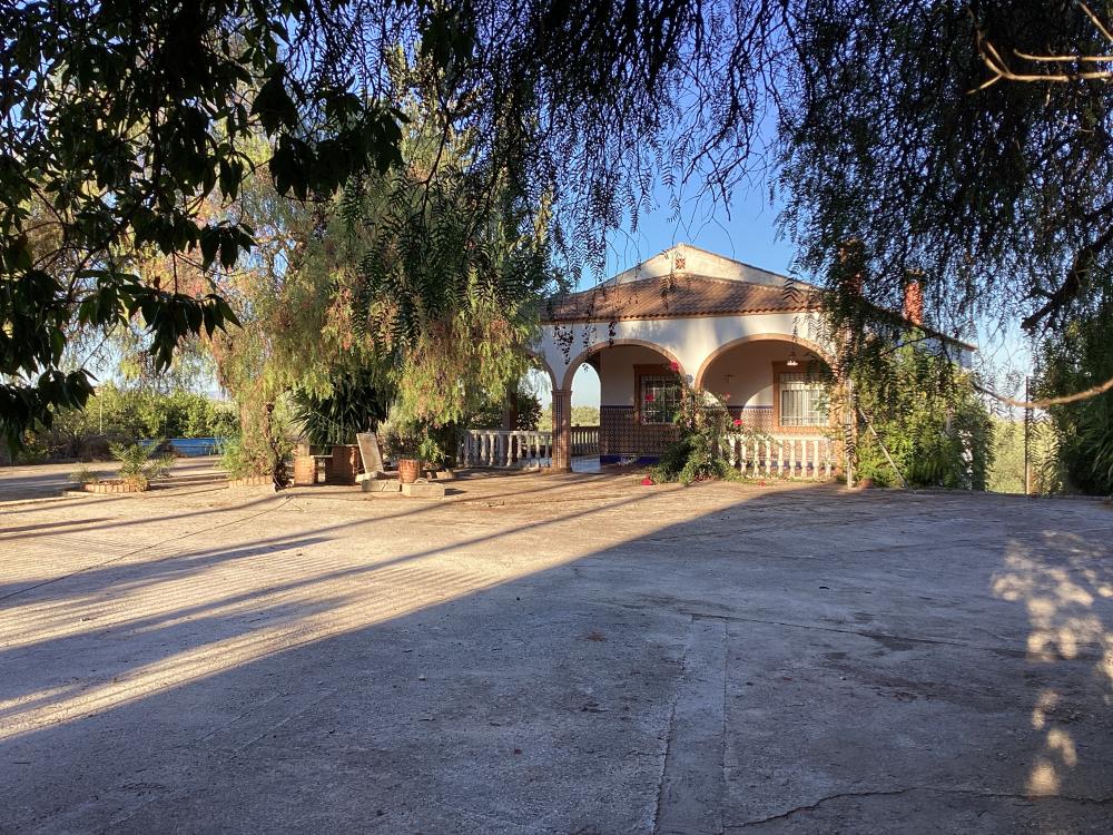  for sale villa Puente Genil Campiña Sur 40