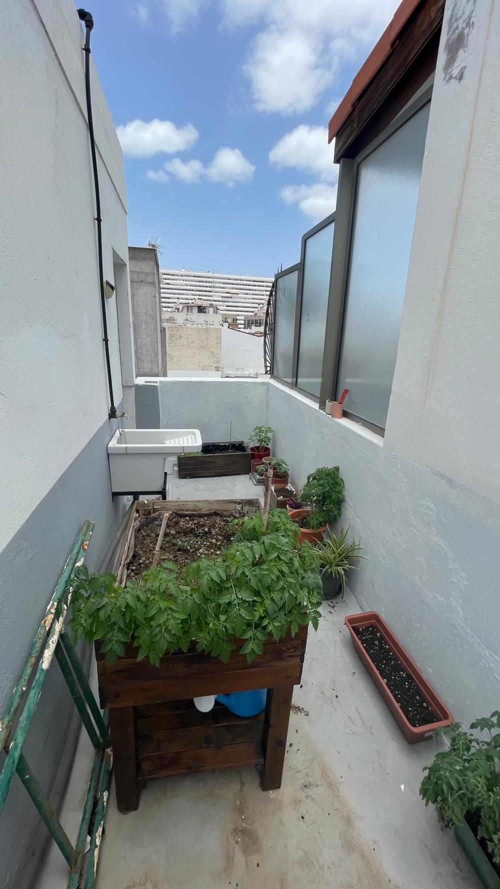  for sale apartment Las Palmas Centro 35004 Palmas De Gran Canaria (Las) 18