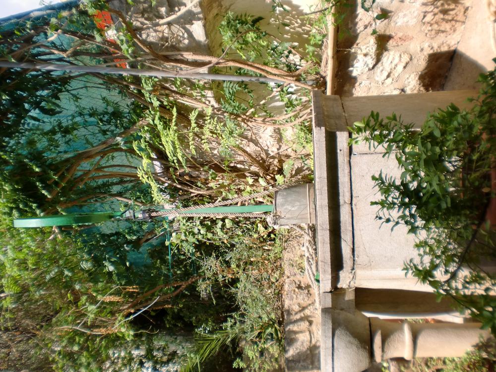  for sale house Lloseta Raiguer 22