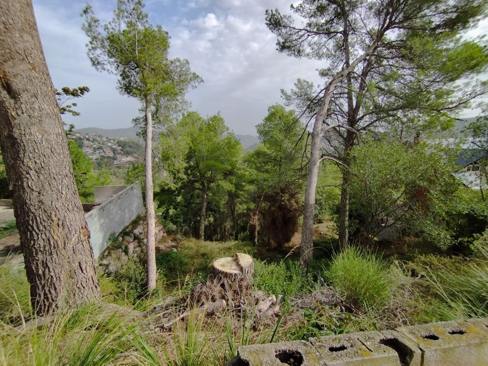 for sale plot Mas De Les Fonts Baix Llobregat 2