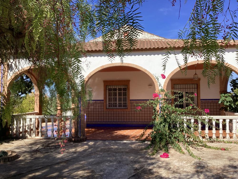 for sale villa Puente Genil Campiña Sur 2