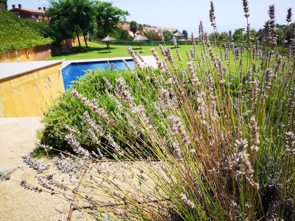  for sale house Arenys De Mar Maresme 36