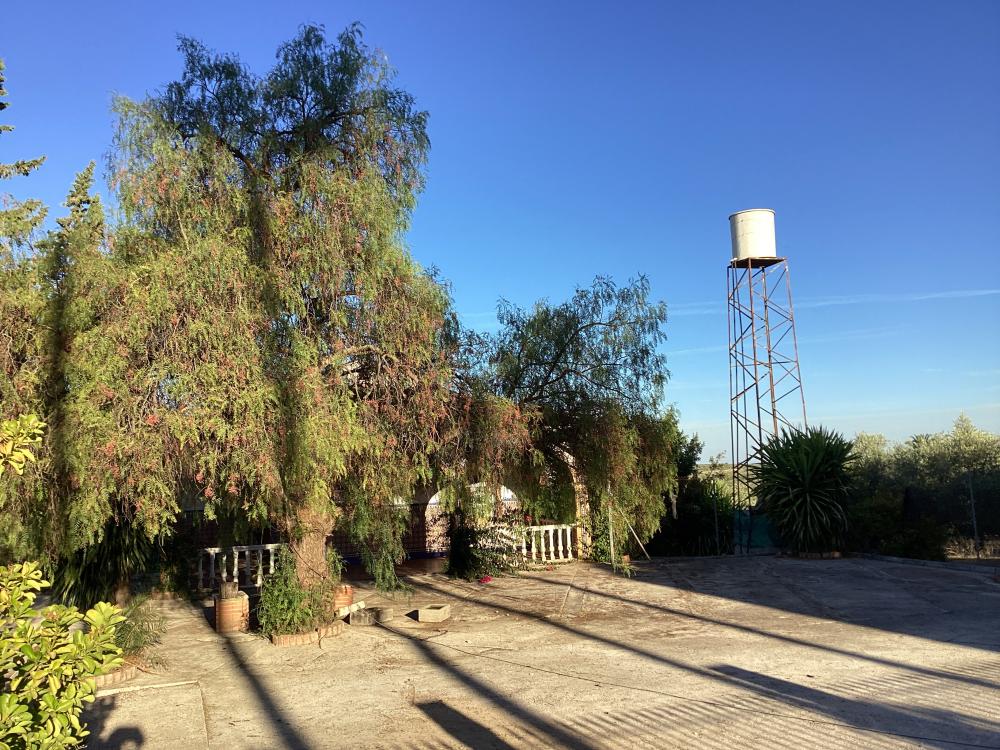  for sale villa Puente Genil Campiña Sur 42