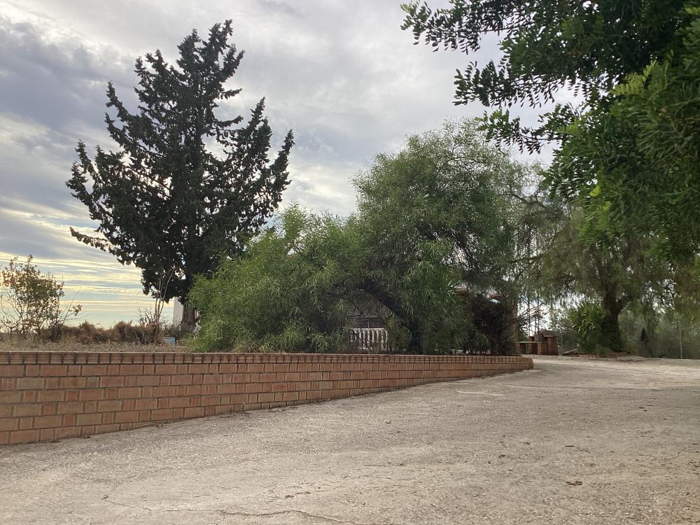  for sale villa Puente Genil Campiña Sur 53