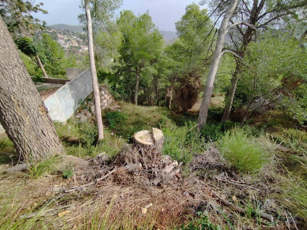  for sale plot Mas De Les Fonts Baix Llobregat 1