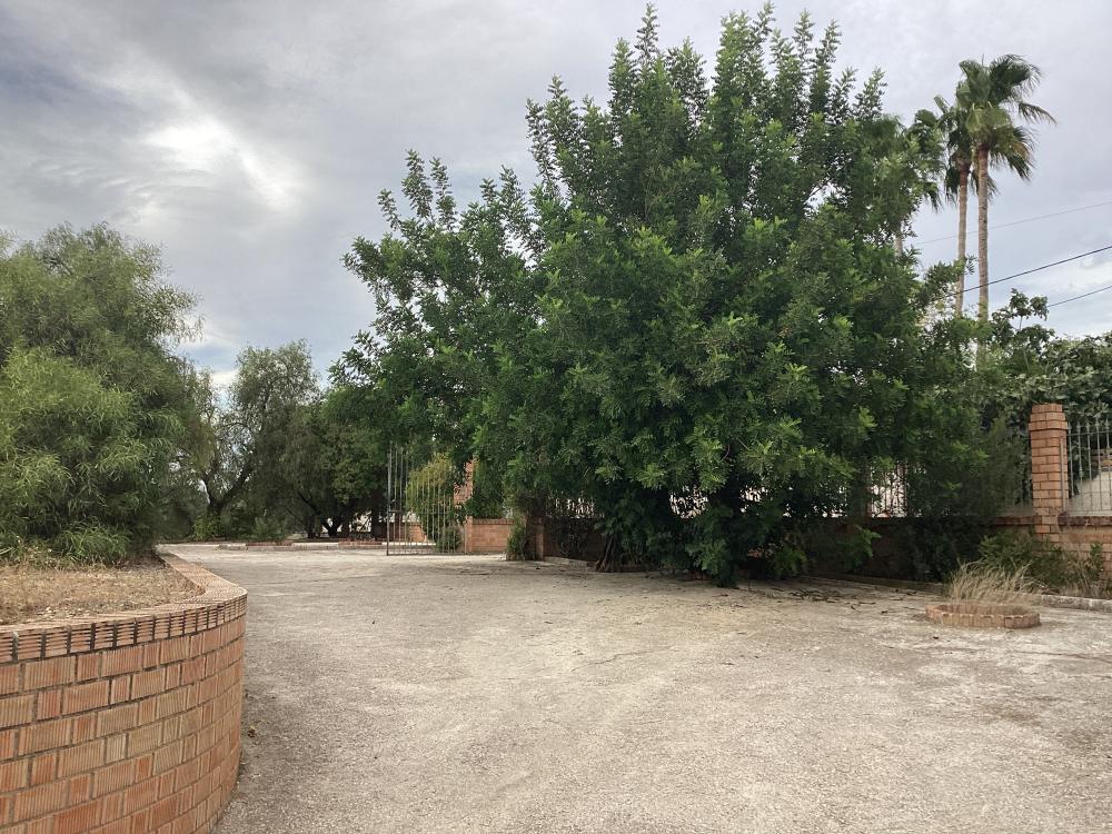  for sale villa Puente Genil Campiña Sur 51