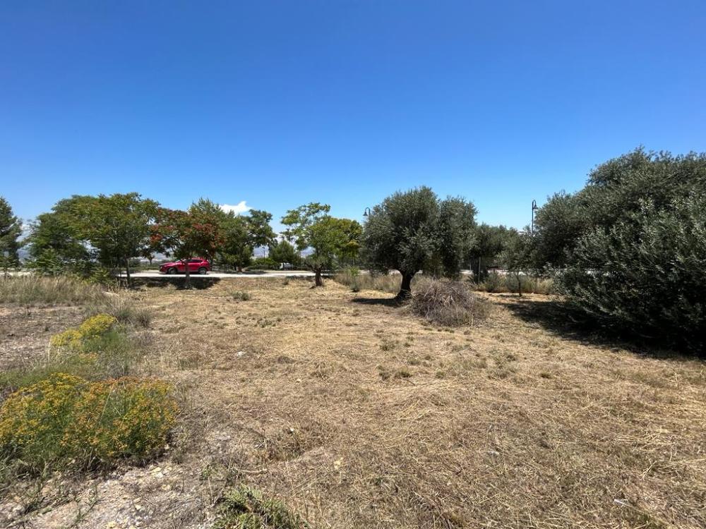  for sale plot Churriana Málaga-Costa Del Sol 3