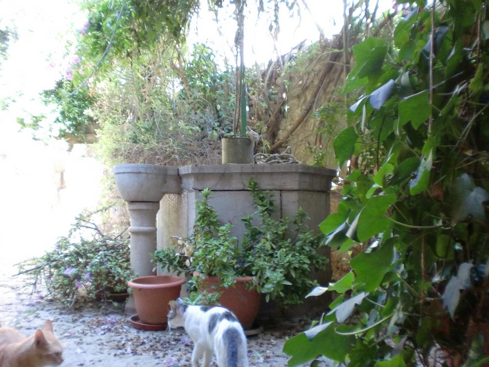  for sale house Lloseta Raiguer 20
