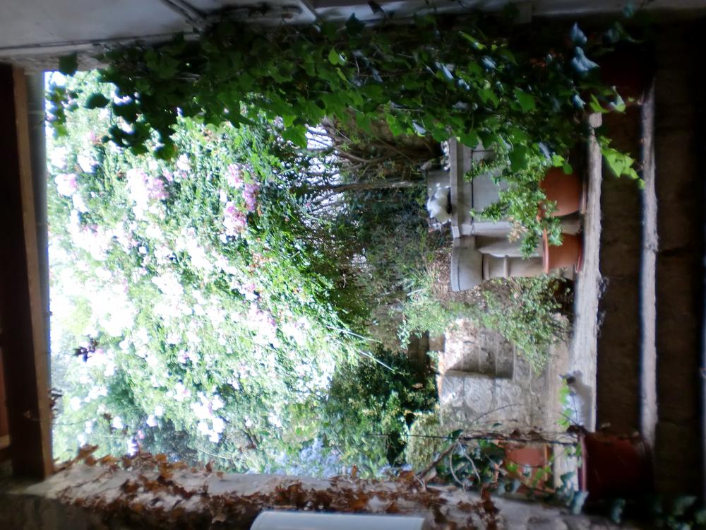  for sale house Lloseta Raiguer 19