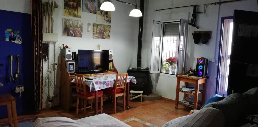  for sale country house Villanueva Del Río Y Minas Vega Del Guadalquivir 12