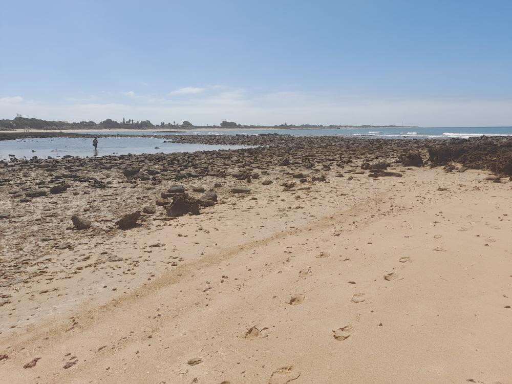  for sale duplex Costa Ballena Costa Noroeste 29