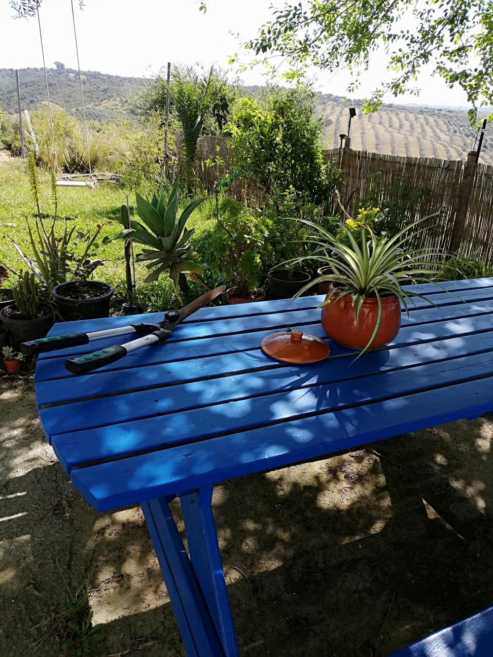  for sale country house Villanueva Del Río Y Minas Vega Del Guadalquivir 5