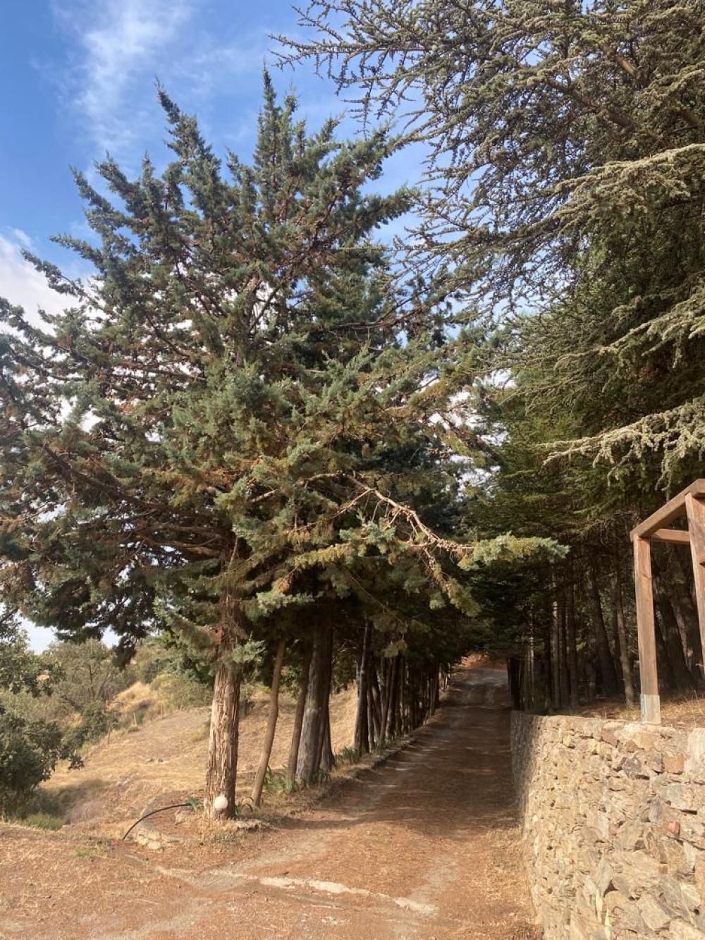  for sale country house Pampaneira Alpujarra Granadina 15