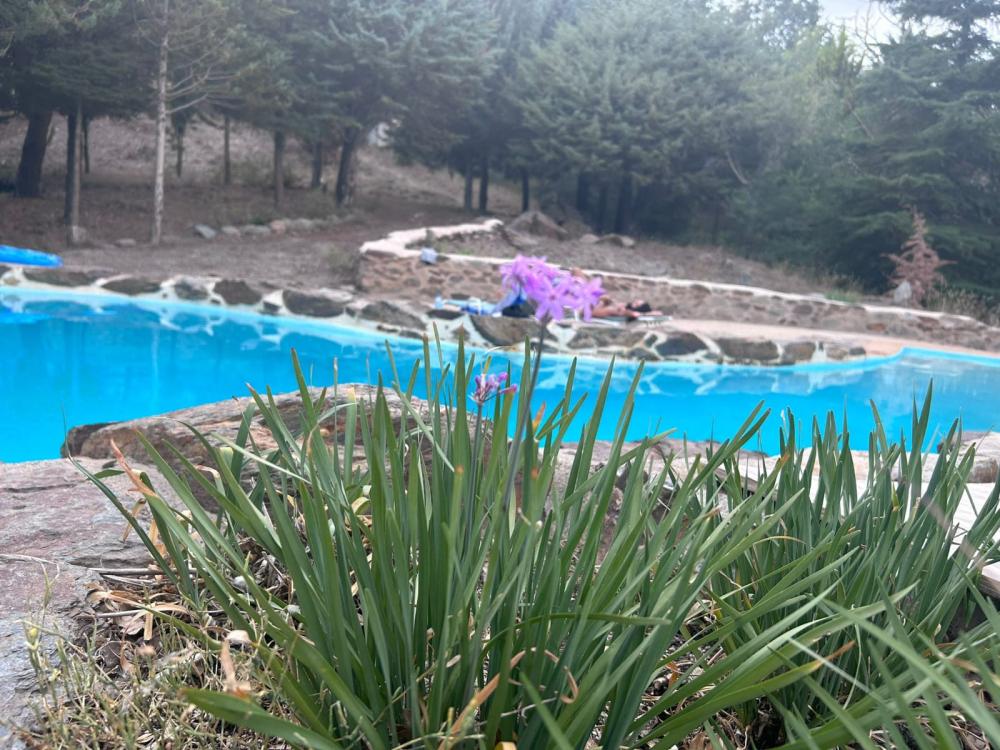  for sale country house Pampaneira Alpujarra Granadina 16
