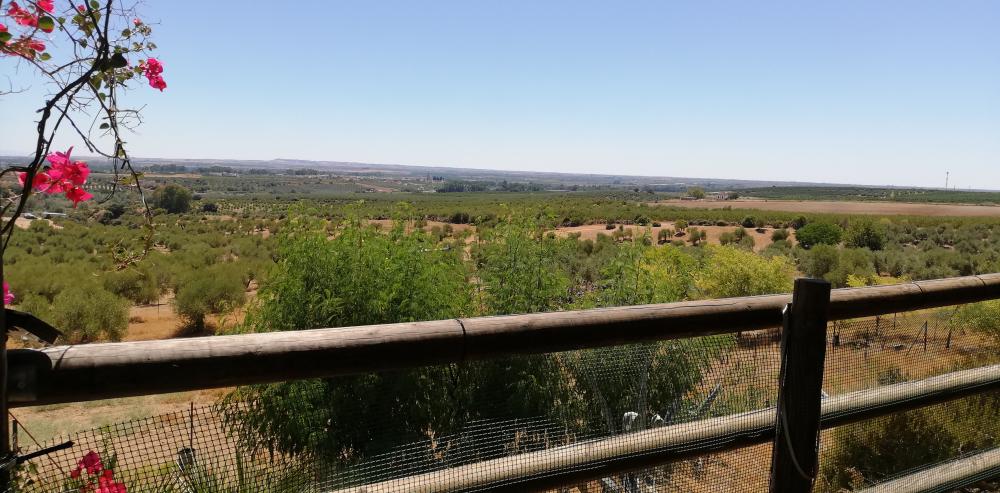  for sale country house Villanueva Del Río Y Minas Vega Del Guadalquivir 25
