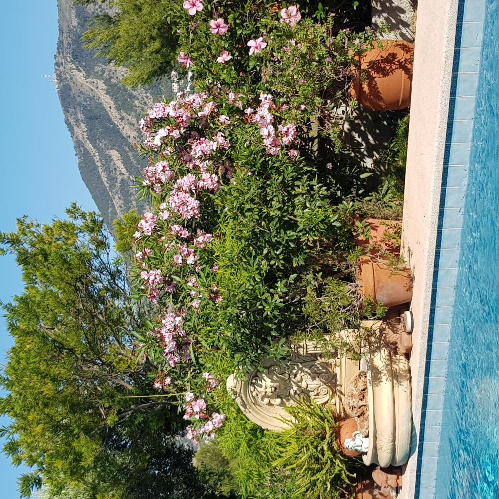  for sale villa Alfaz Del Pi Marina Baixa 18