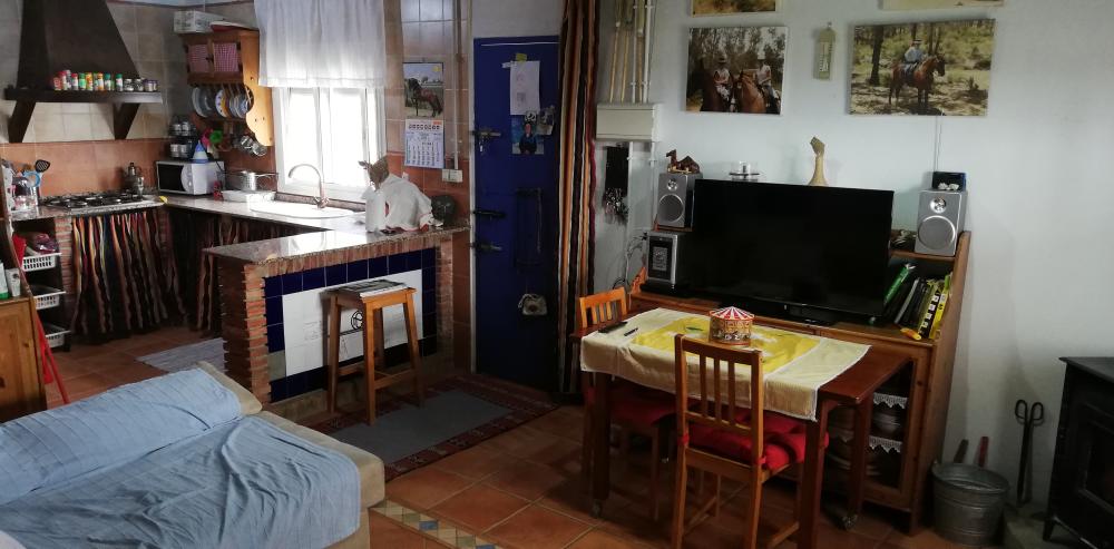  for sale country house Villanueva Del Río Y Minas Vega Del Guadalquivir 19