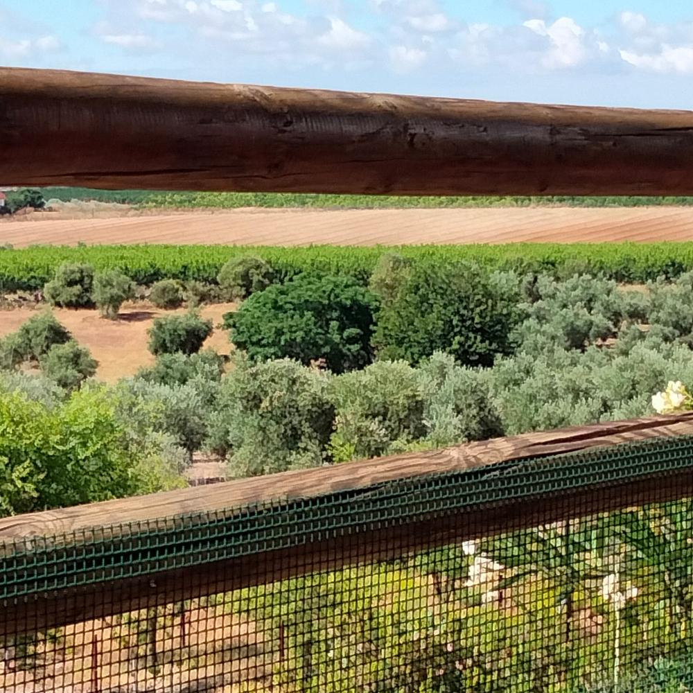  for sale country house Villanueva Del Río Y Minas Vega Del Guadalquivir 13