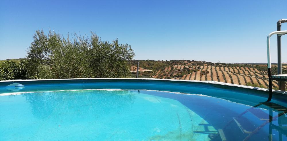  for sale country house Villanueva Del Río Y Minas Vega Del Guadalquivir 6